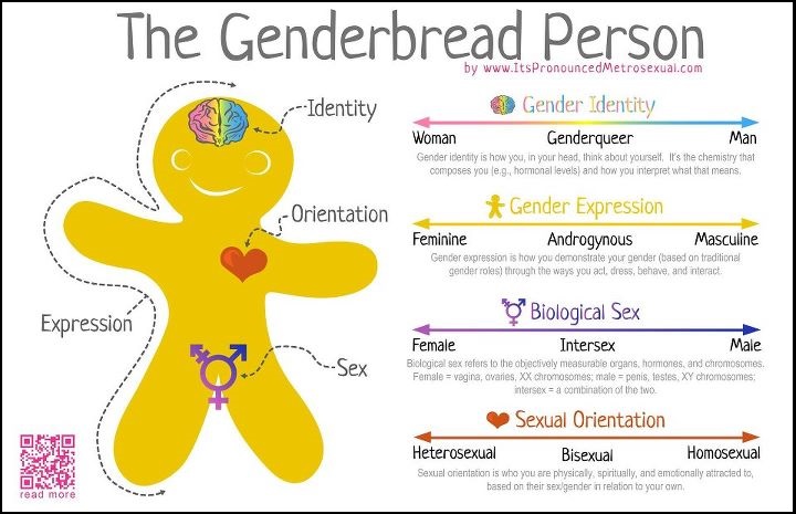 Gingerbread Gender