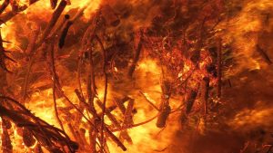 Неконтролируем огън